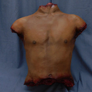 Torsos and Half Bodies