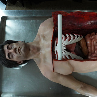 Autopsy & Medical Manikins