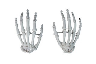 Skeleton Hands Pair