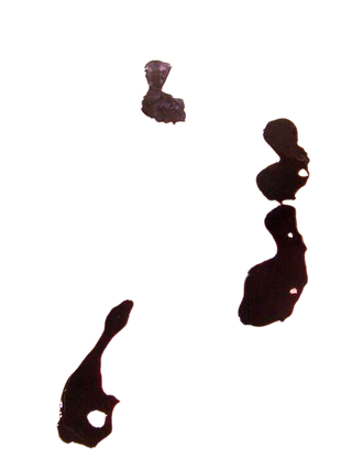 Bloody Footprints - Set of 8