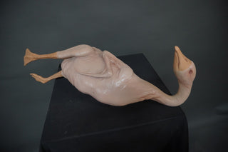 Plucked Goose