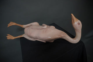 Plucked Goose