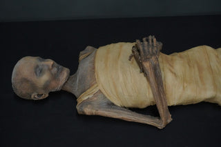 Egyptian Wrapped Nefertari Mummy