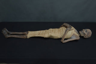 Egyptian Wrapped Nefertari Mummy