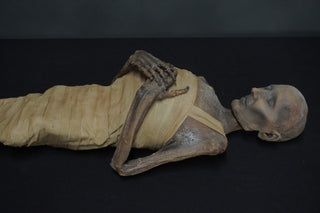 Egyptian Wrapped Nefertari Mummy