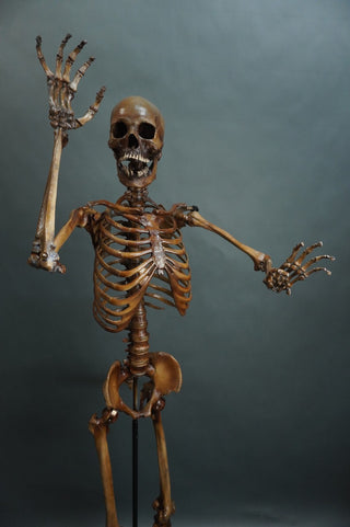 Poseable Crime Scene Skeleton with Stand