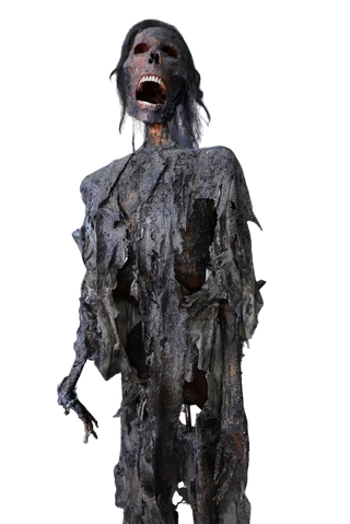 Burnt Mummy with Clothes