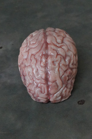 Lifesize Brain, Silicone Rubber