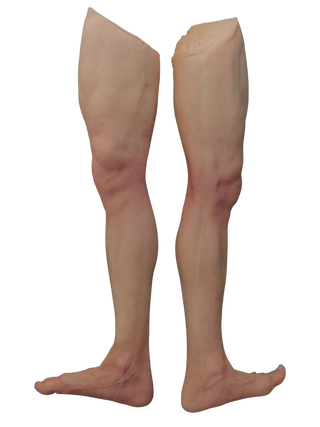 Jack Legs - Male