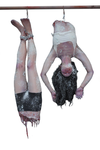 Frozen Hanging Split Phoebe Body