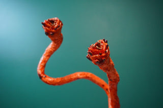 Poseable Parasitic Worms set of 3