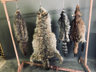 Faux Fox Pelt