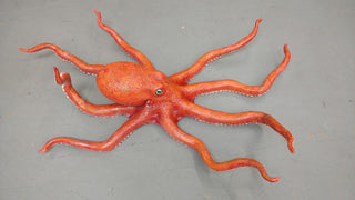 4ft Poseable Octopus