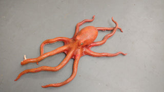 4ft Poseable Octopus