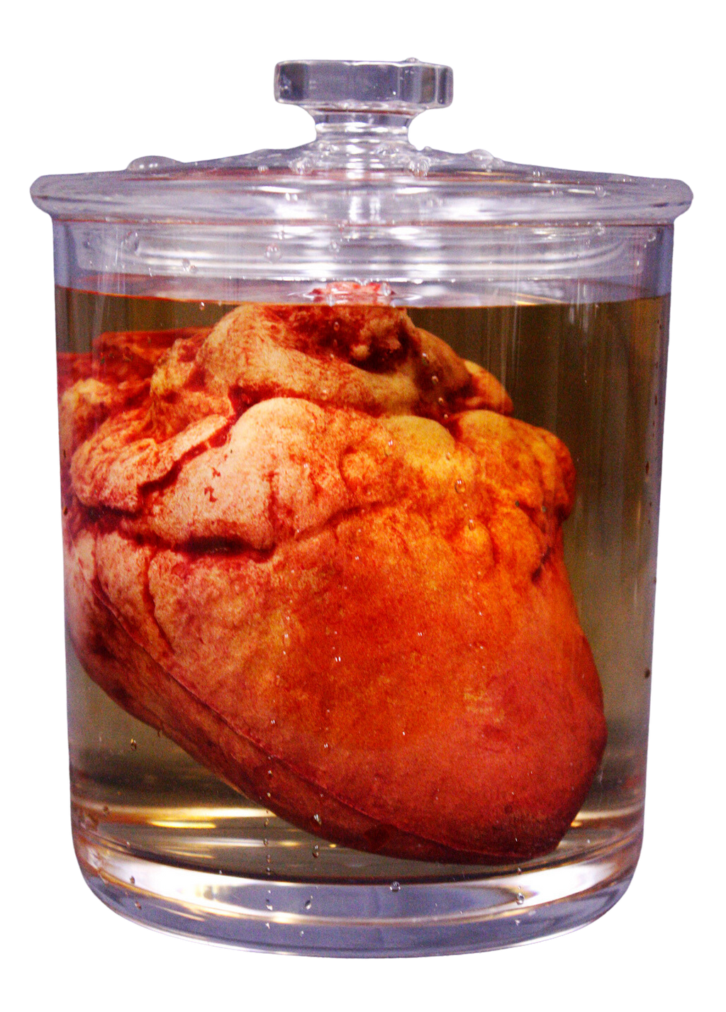 Small Lifelike Heart Apothecary Specimen Jar – Dapper Cadaver Props