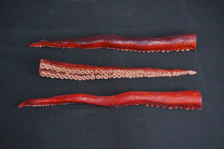 2ft Poseable Octopus Tentacle Prop