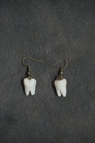 Rooted Teeth Earrings
