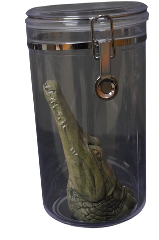 Alligator Head Apothecary Specimen Jar
