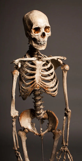Crime Scene Skeleton