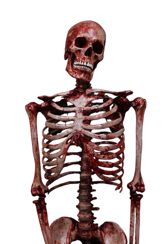 Bloody Skeleton