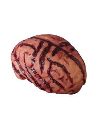 Brain Prop, medium