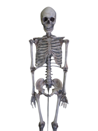 Crime Scene Skeleton