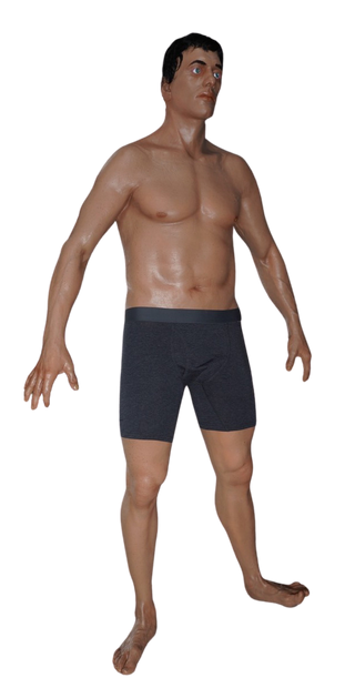 David Full Body