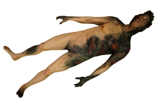 Dura Bomb Burn Gary Body