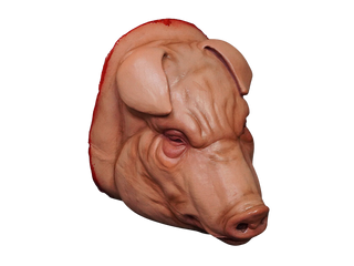 Fat Pig Head