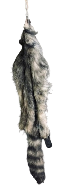 Faux Raccoon Pelt