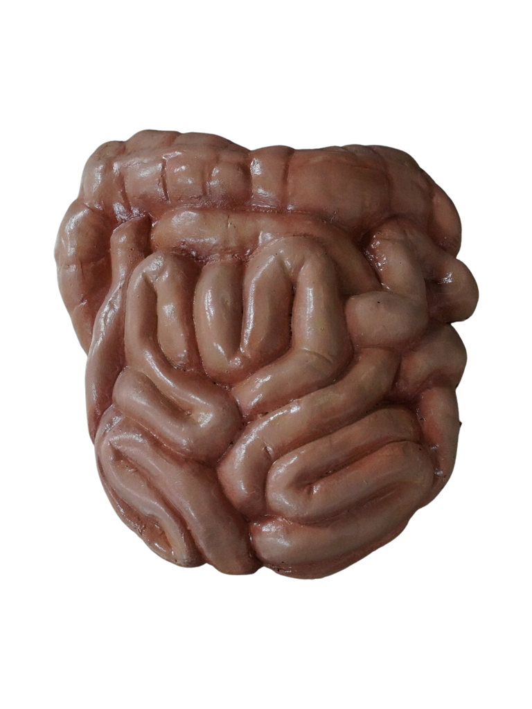 Solid Prop Intestines – Dapper Cadaver Props