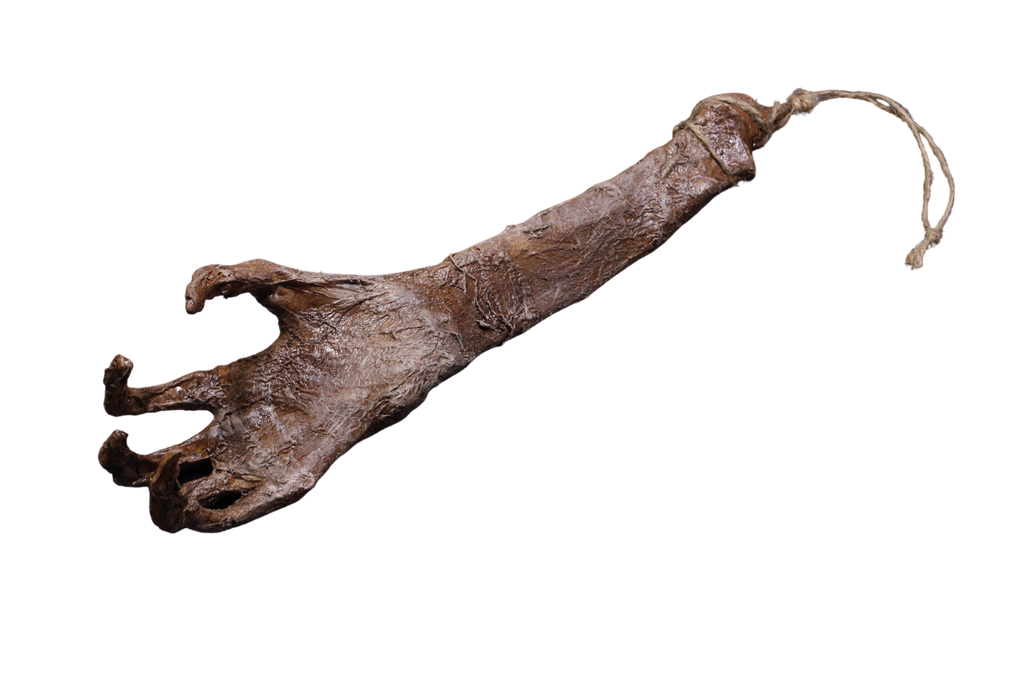 Mummified Hand Of Glory Prop – Dapper Cadaver Props