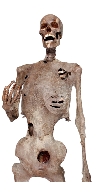 High Strength Flexible Mummy Prop