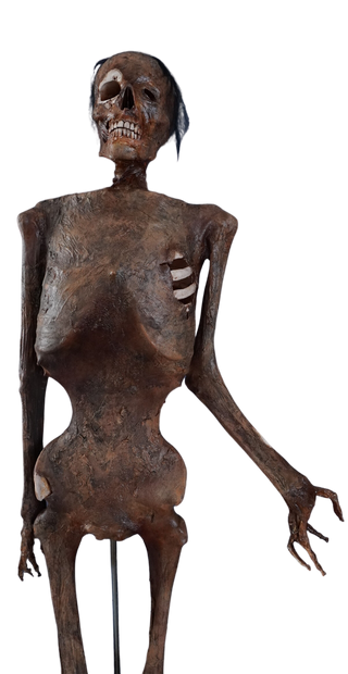 Houston Mummy