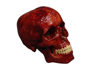 Meat Skull Harvey