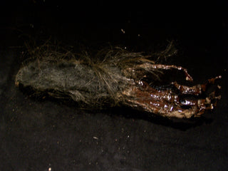 Large Realistic Monkeys Paw