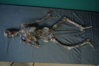 Burnt Skeleton Mummy