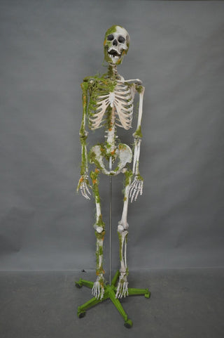 Moss Covered Skeleton