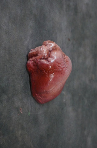 Small Lifelike Heart