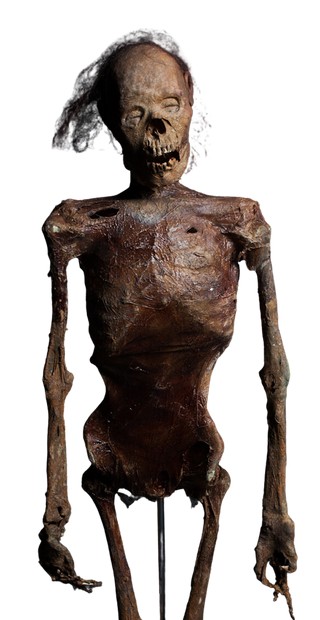 Remy Mummy