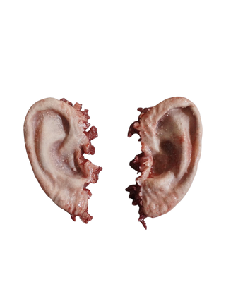 Silicone Decayed Ear