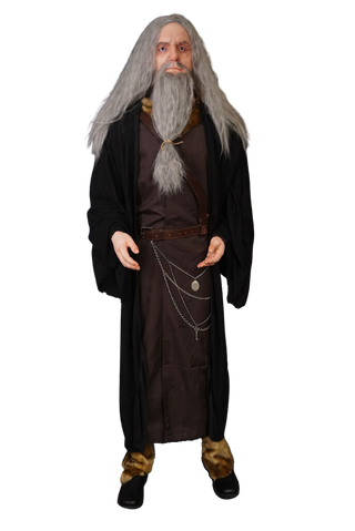 Steiner Wizard Figure