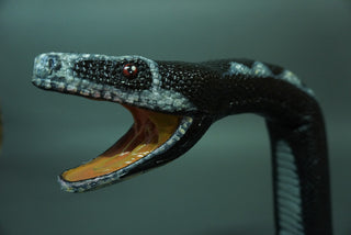 7ft Poseable Boa Snake Prop