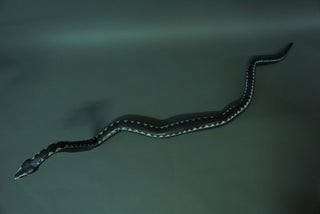 7ft Poseable Boa Snake Prop