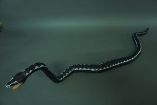 7ft Poseable Boa Snake Prop
