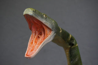 7ft Poseable Boa Snake Prop