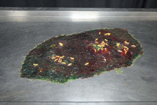 24" Purge Fluid Rubber Pool with Maggots