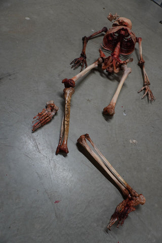 Dismembered Bloody Skeleton