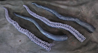 2ft Poseable Octopus Tentacle Prop