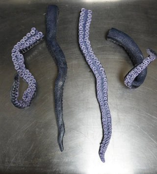 2ft Poseable Octopus Tentacle Prop